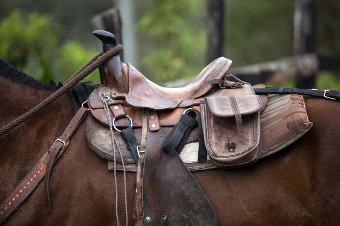 Different types of horse riders